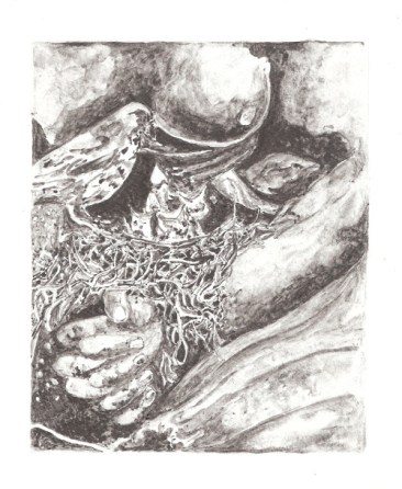 daniela gomes in situ