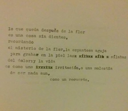 lo-que-queda-despues-de-la-flor
