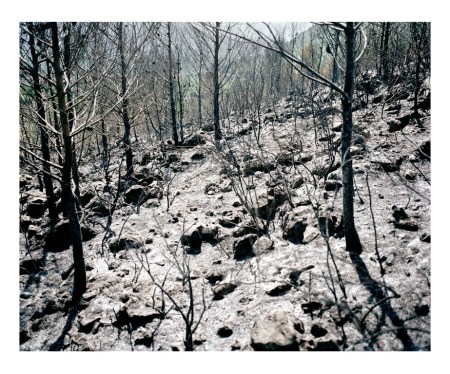 la perdida eva gonzalez sancho