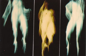 herbert doring-spengler 2