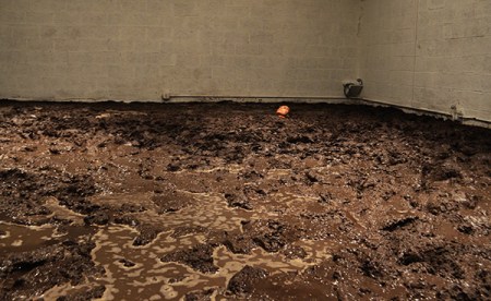 regina josé galindo