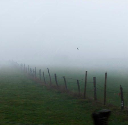 Sin título-1 copia copia